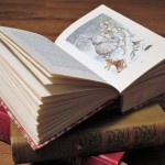 Fairy tale book